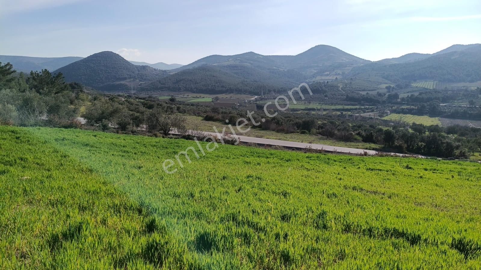 Acil Kınık Değirmencieli'nde Köy Kenarı 7 Dekar Tarla - Görsel 12