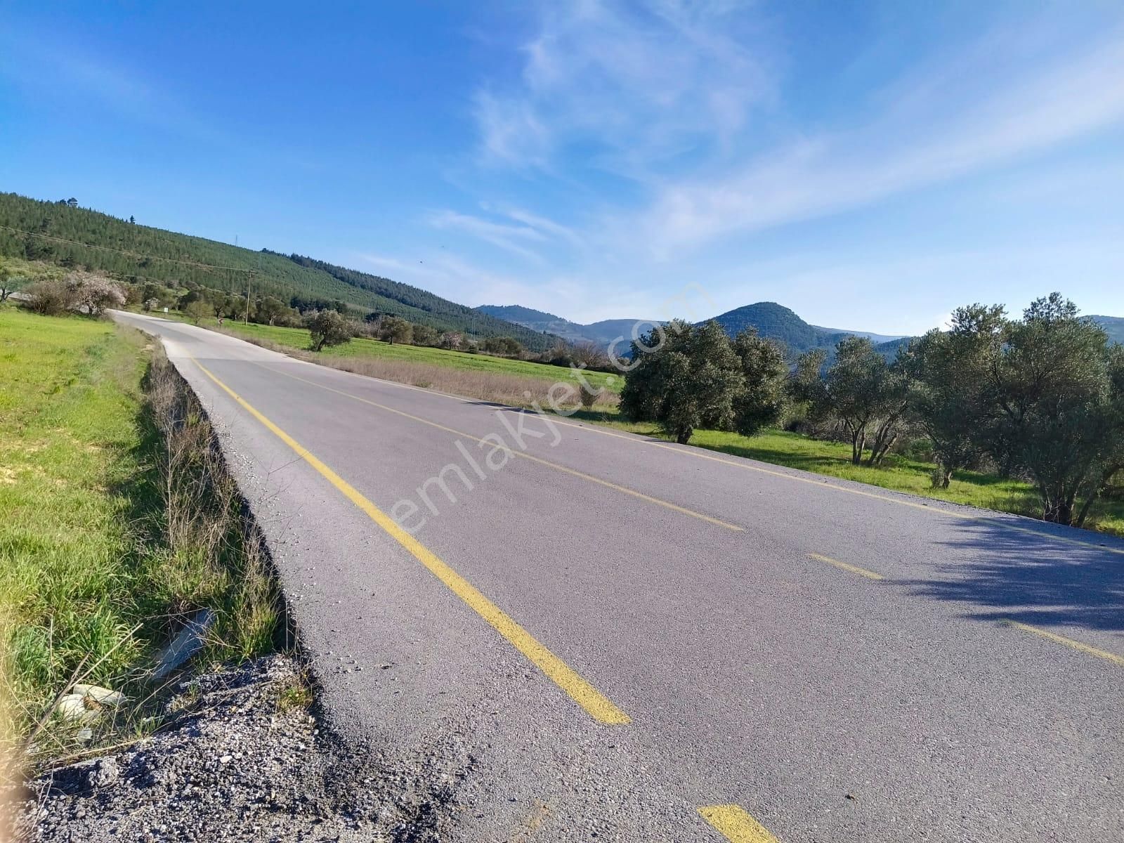 Acil Kınık Değirmencieli'nde Köy Kenarı 7 Dekar Tarla