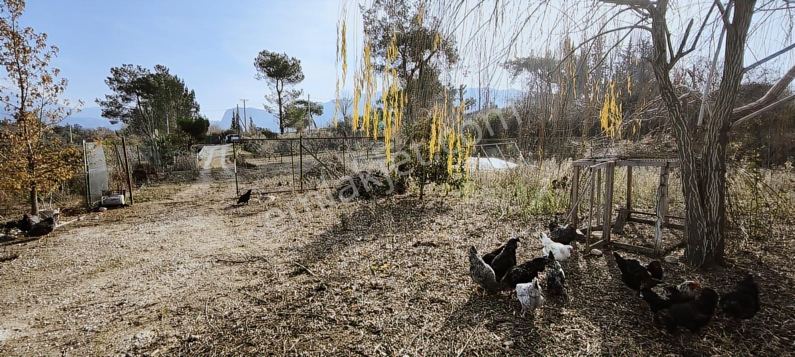 Fethiye Seydikemer Korubükü Köyiçi İmarlı 1433 M2 Satılık Tarla - Görsel 27