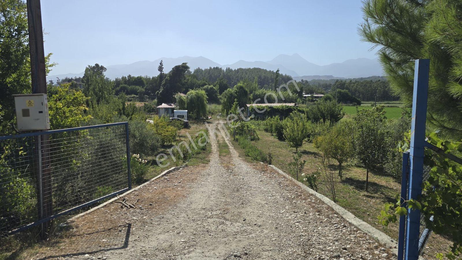 Fethiye Seydikemer Korubükü Köyiçi İmarlı 1433 M2 Satılık Tarla