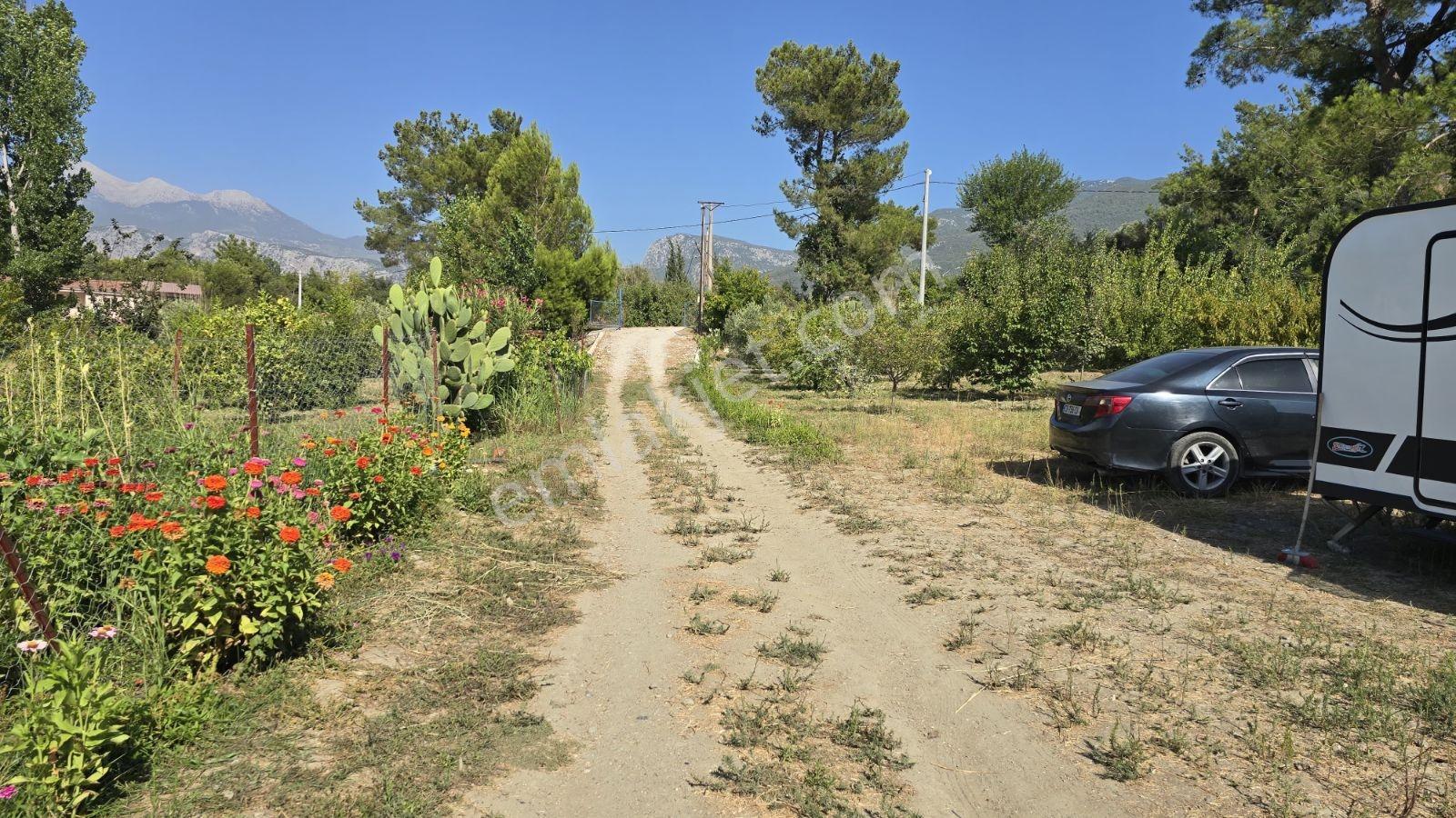 Fethiye Seydikemer Korubükü Köyiçi İmarlı 1433 M2 Satılık Tarla - Görsel 24