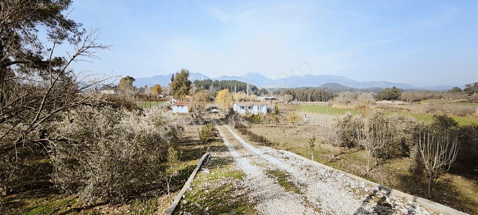 Fethiye Seydikemer Korubükü Köyiçi İmarlı 1433 M2 Satılık Tarla - Görsel 19