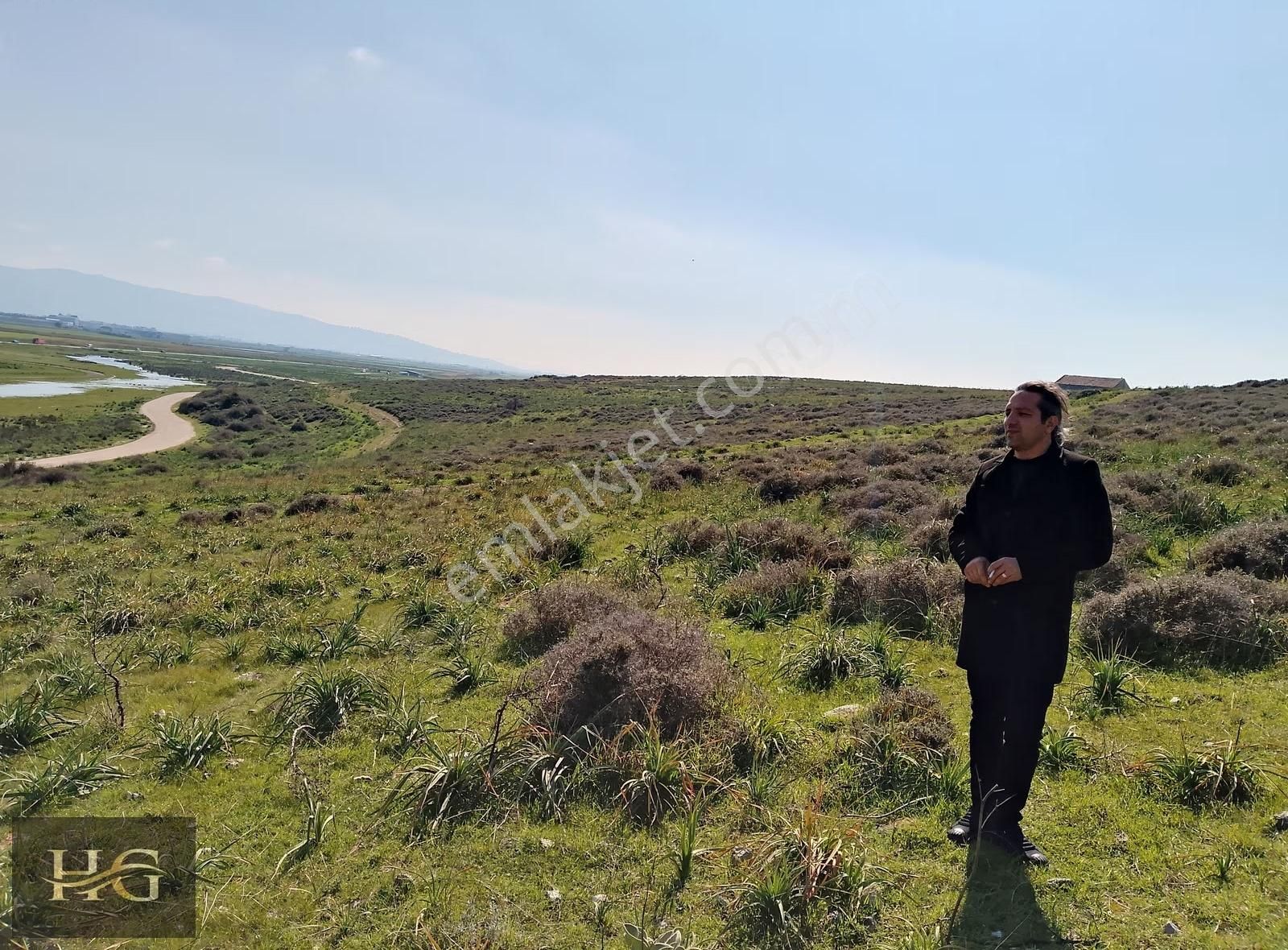 Seyrek'te Villalara Komşu Tarla: 59 Dönüm Yatırım Fırsatı - Görsel 9