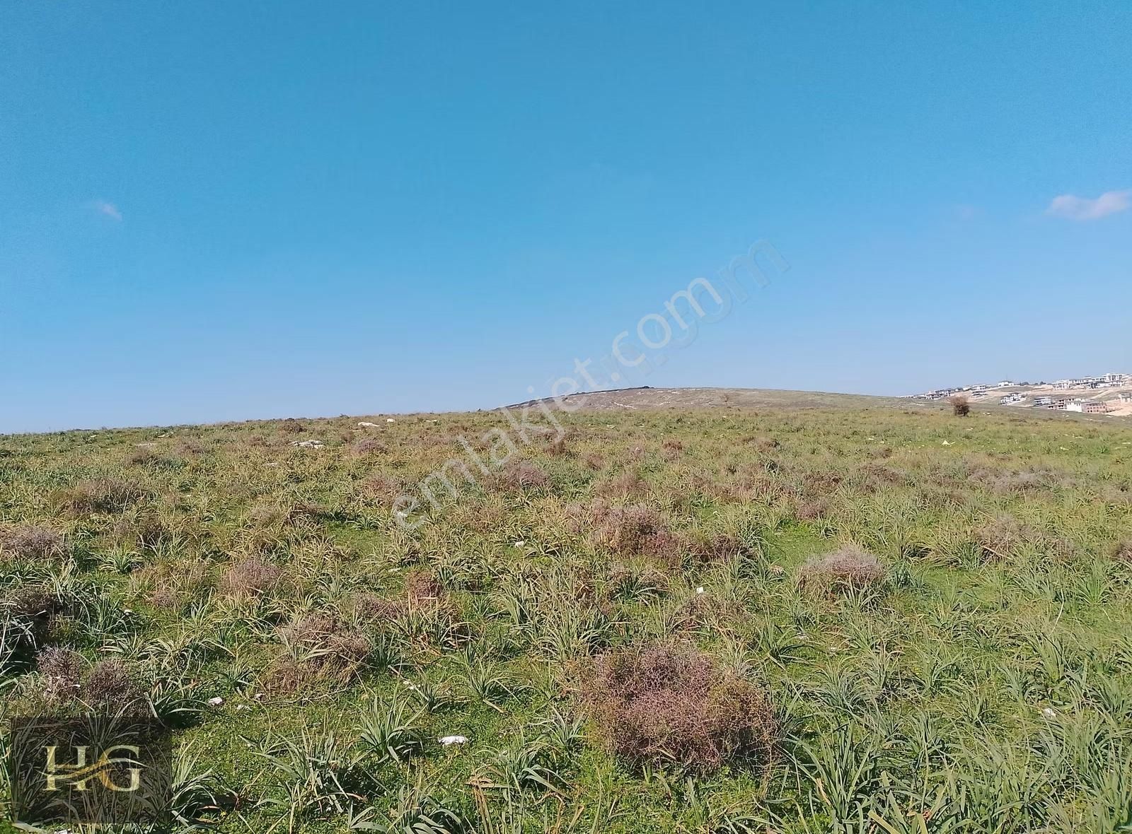 Seyrek'te Villalara Komşu Tarla: 59 Dönüm Yatırım Fırsatı - Görsel 6