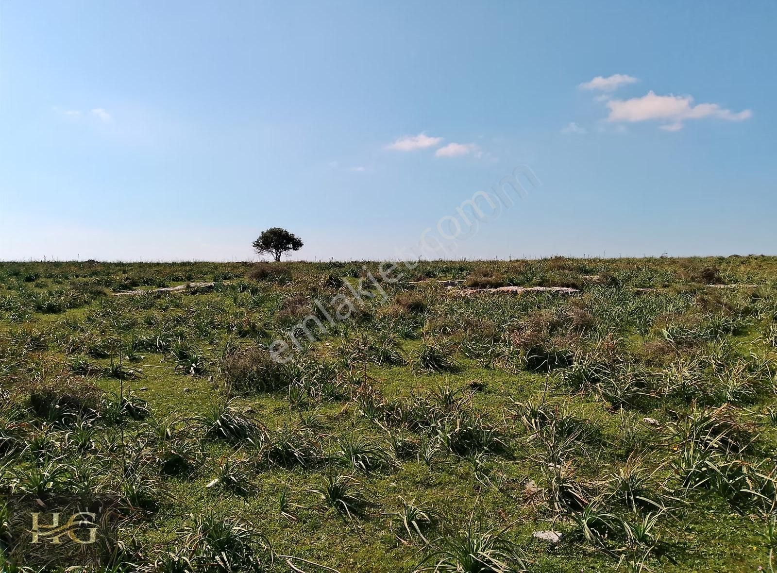 Seyrek'te Villalara Komşu Tarla: 59 Dönüm Yatırım Fırsatı - Görsel 13