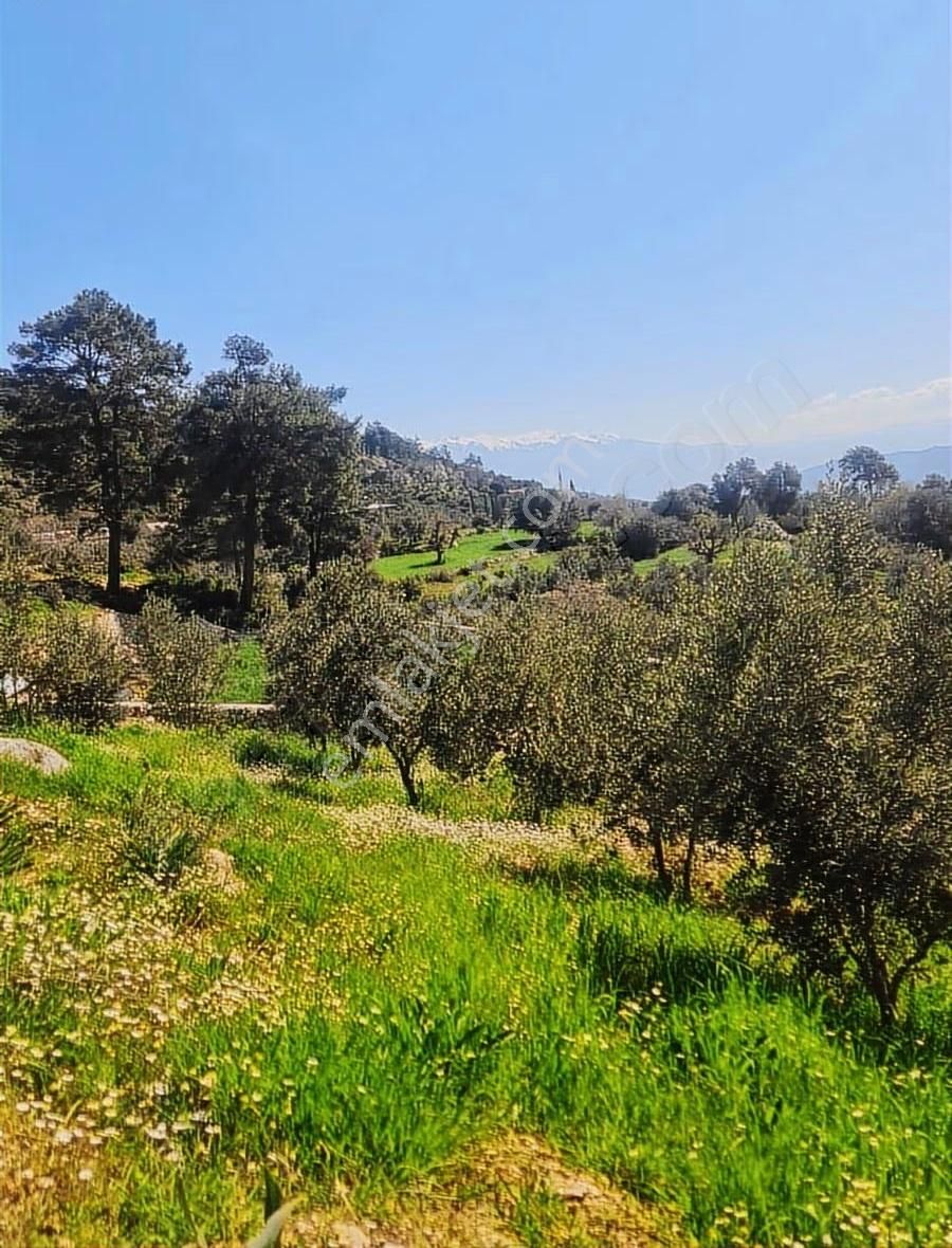 Yakacık Mh.1100 M2 Satılık Tarla. - Görsel 3