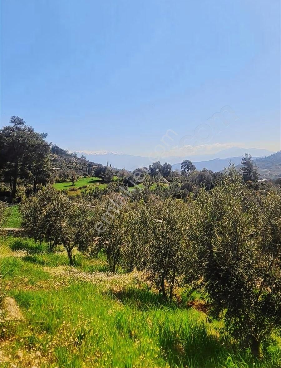 Yakacık Mh.1100 M2 Satılık Tarla. - Görsel 4