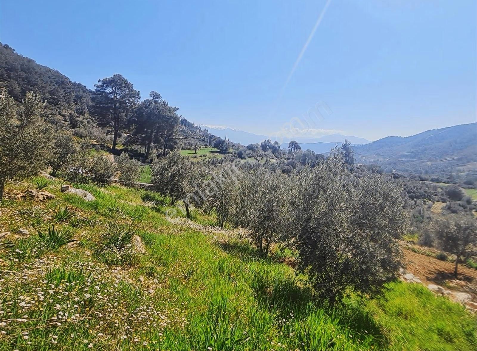 Yakacık Mh.1100 M2 Satılık Tarla.