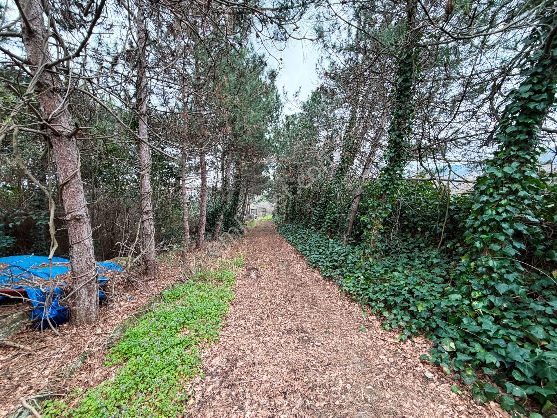 Çatalca Gelişime Açık Bölgede 2000m2 Yatırımlık 3 Katlı Satılık Bina - Görsel 25