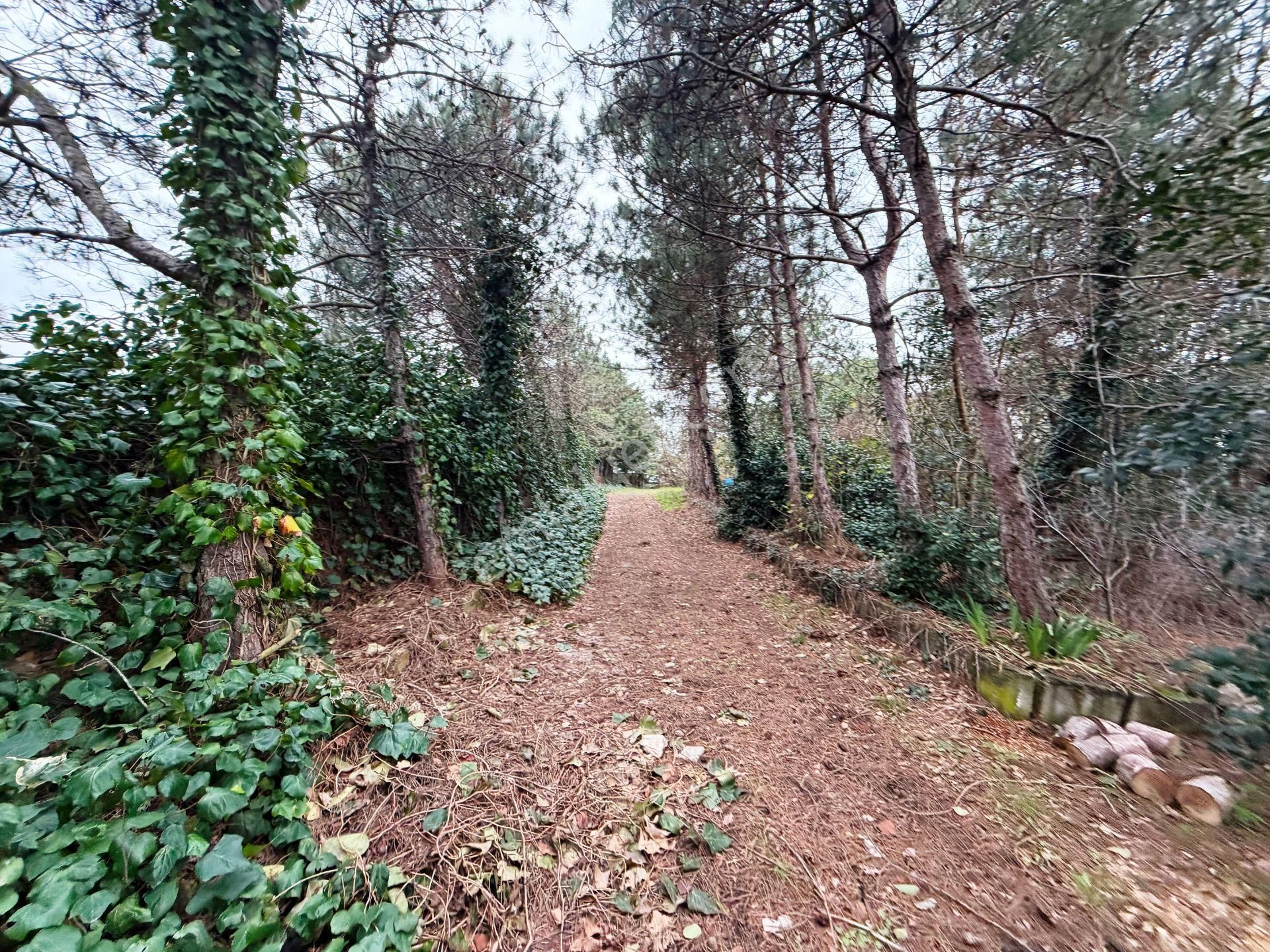 Çatalca Gelişime Açık Bölgede 2000m2 Yatırımlık 3 Katlı Satılık Bina - Görsel 33