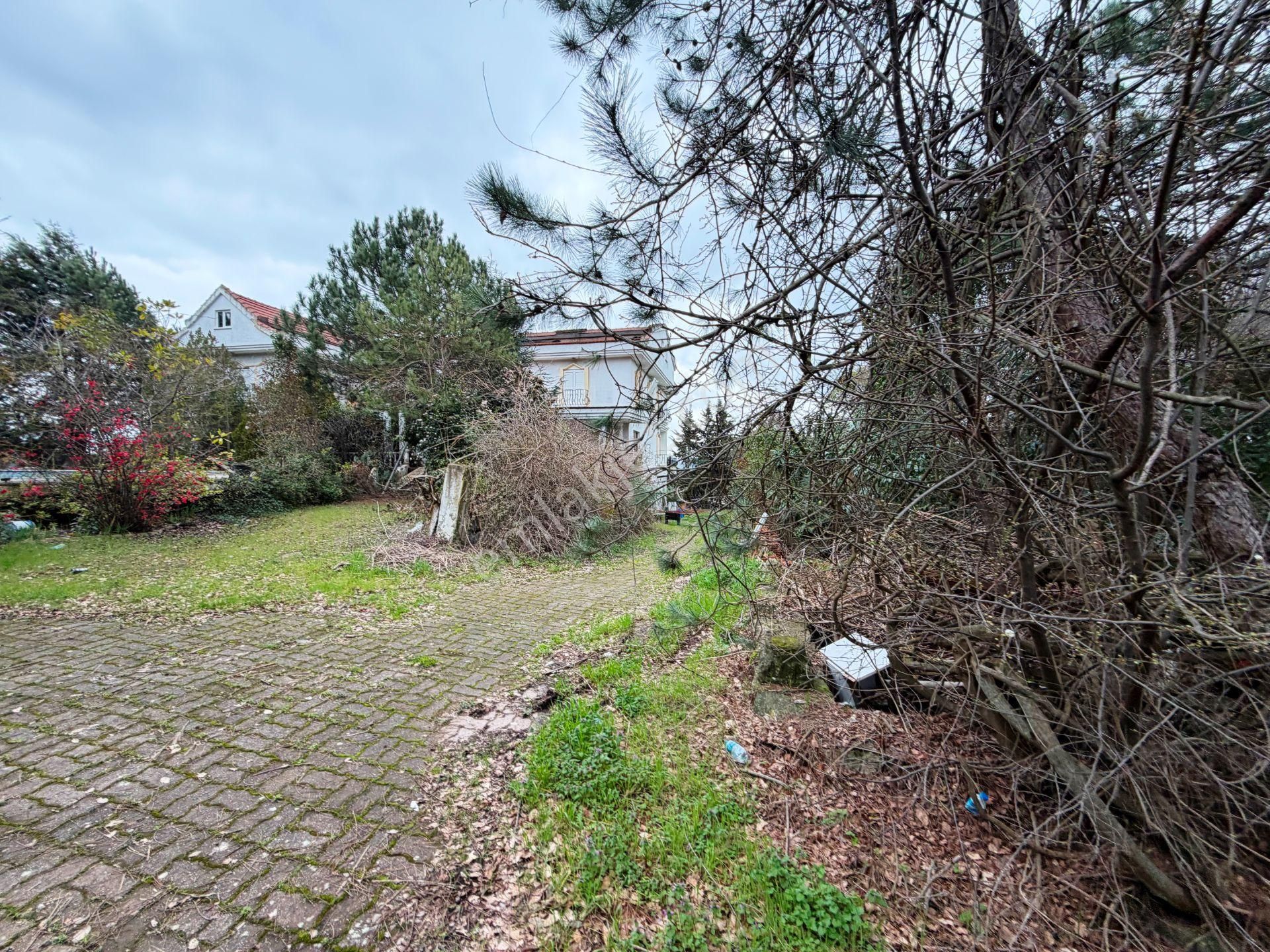 Çatalca Gelişime Açık Bölgede 2000m2 Yatırımlık 3 Katlı Satılık Bina - Görsel 24