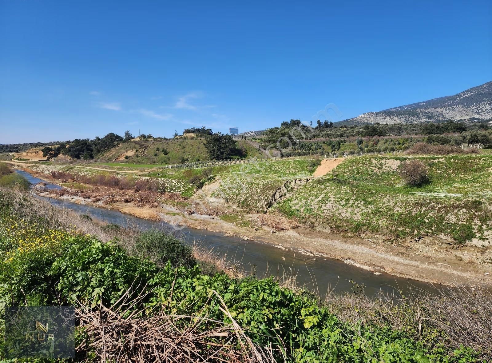 İst. Otoban Yanı 3245 M2 Müstakil Tapulu Tarla+bağ+çiftlik - Görsel 18