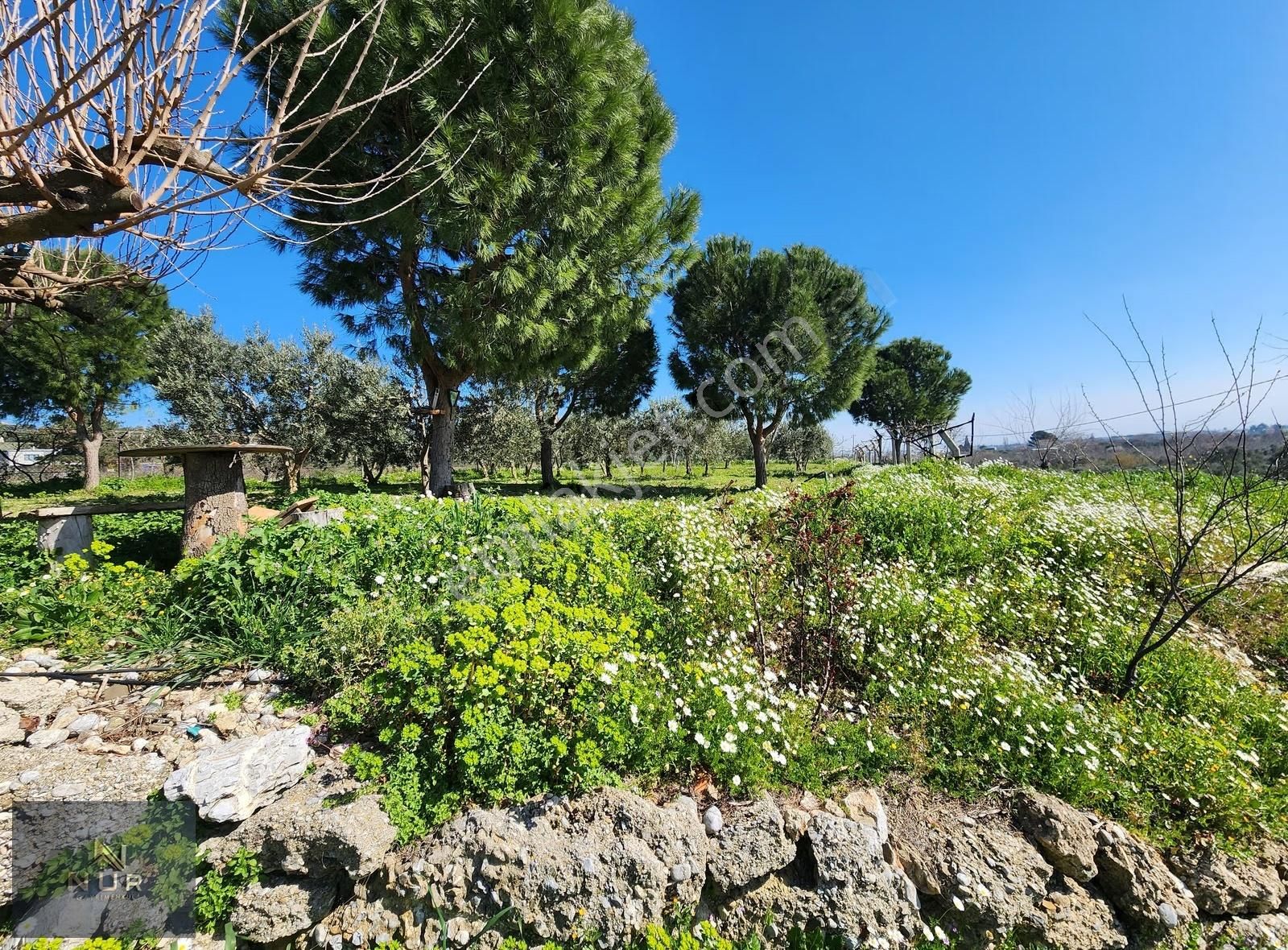 İst. Otoban Yanı 3245 M2 Müstakil Tapulu Tarla+bağ+çiftlik - Görsel 17