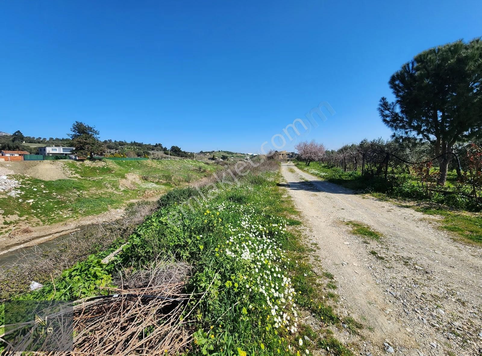 İst. Otoban Yanı 3245 M2 Müstakil Tapulu Tarla+bağ+çiftlik - Görsel 6