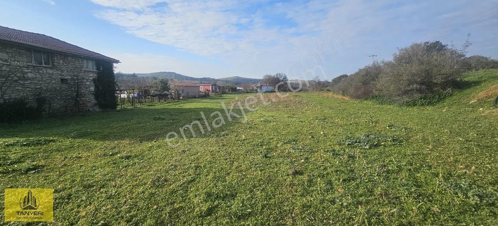 Dümrekte İmara 180 Mt Kadastral Yola 200 Mt Cephe Satılık Arazi - Görsel 11