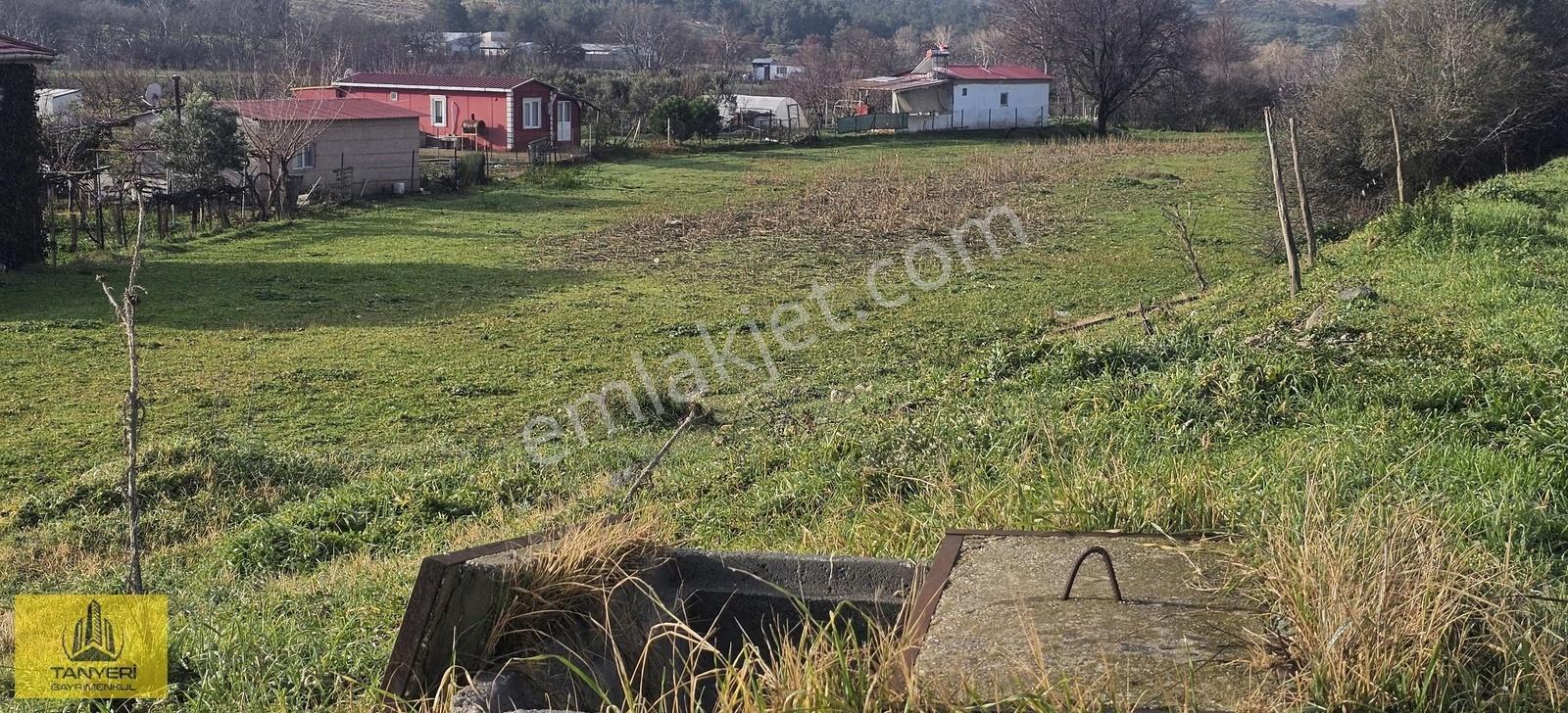 Dümrekte İmara 180 Mt Kadastral Yola 200 Mt Cephe Satılık Arazi - Görsel 8