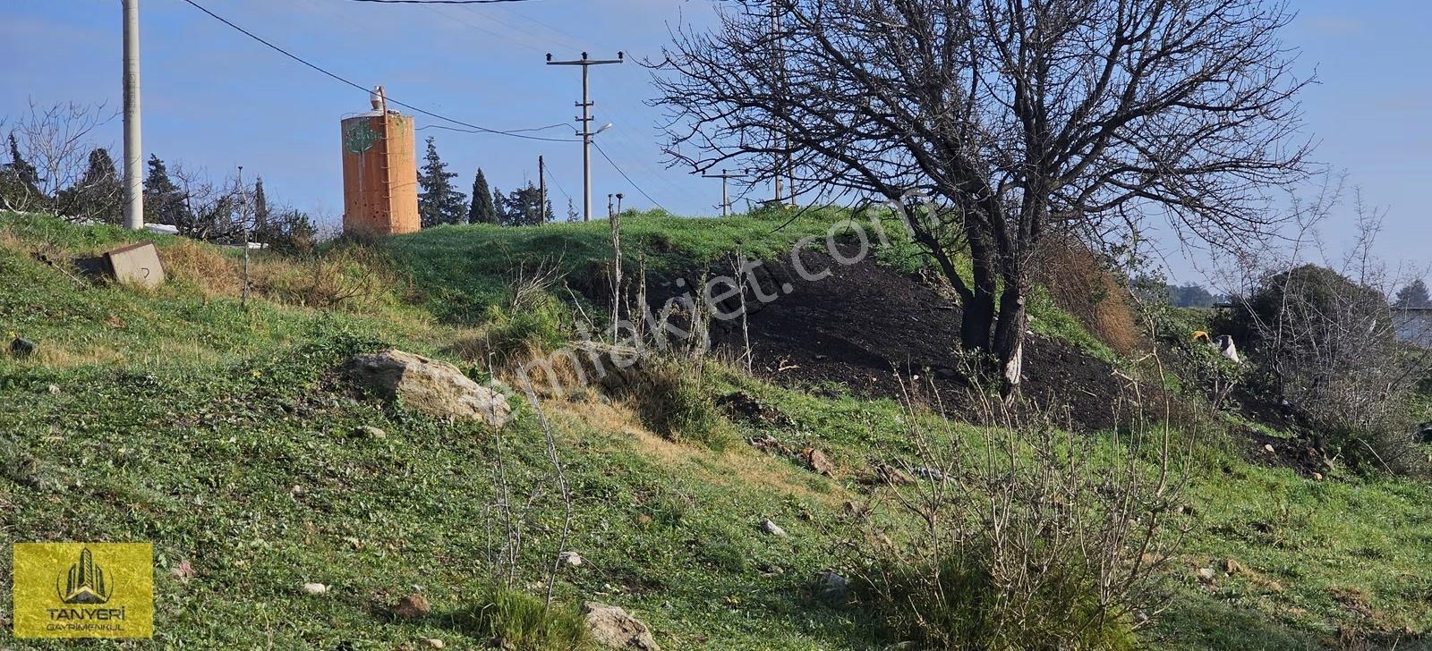 Dümrekte İmara 180 Mt Kadastral Yola 200 Mt Cephe Satılık Arazi - Görsel 5