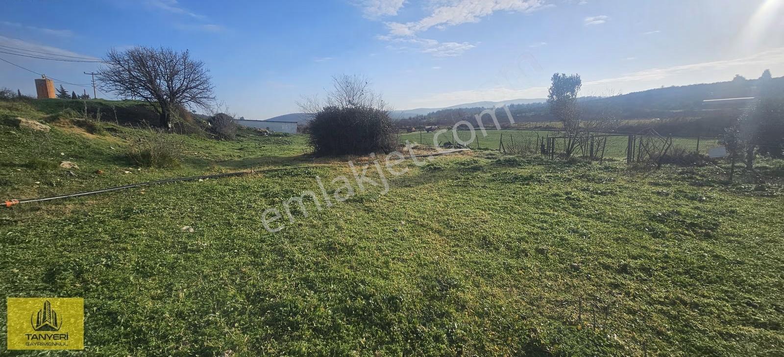 Dümrekte İmara 180 Mt Kadastral Yola 200 Mt Cephe Satılık Arazi - Görsel 7