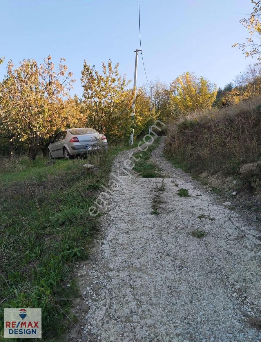Sakarya Geyve Alifuatpaşa Mah.'nde 5703 M2 Satılık Bağ-bahçe - Görsel 15