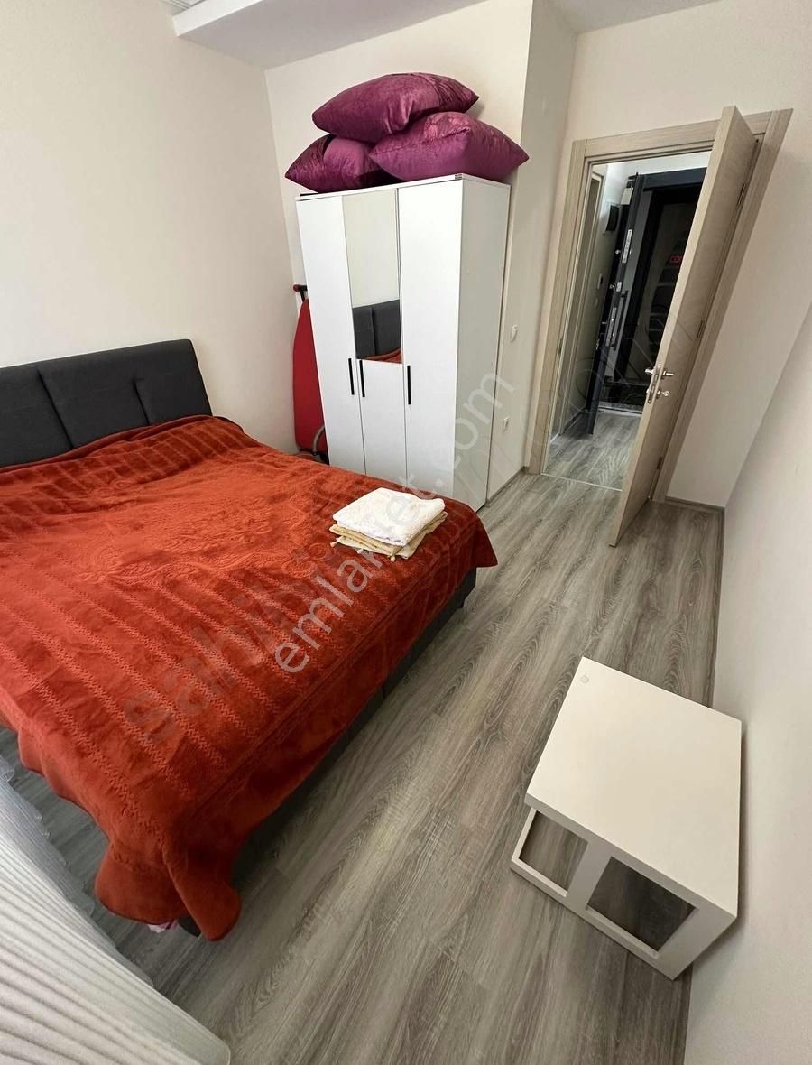 Sıfır Eşyalı Havuzlu - Görsel 11