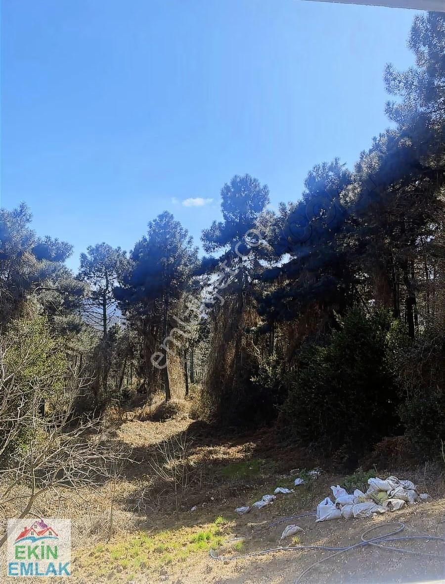 Ekin'den Beykoz Fatih Mah. Kiralık 3+1 Daire - Görsel 2