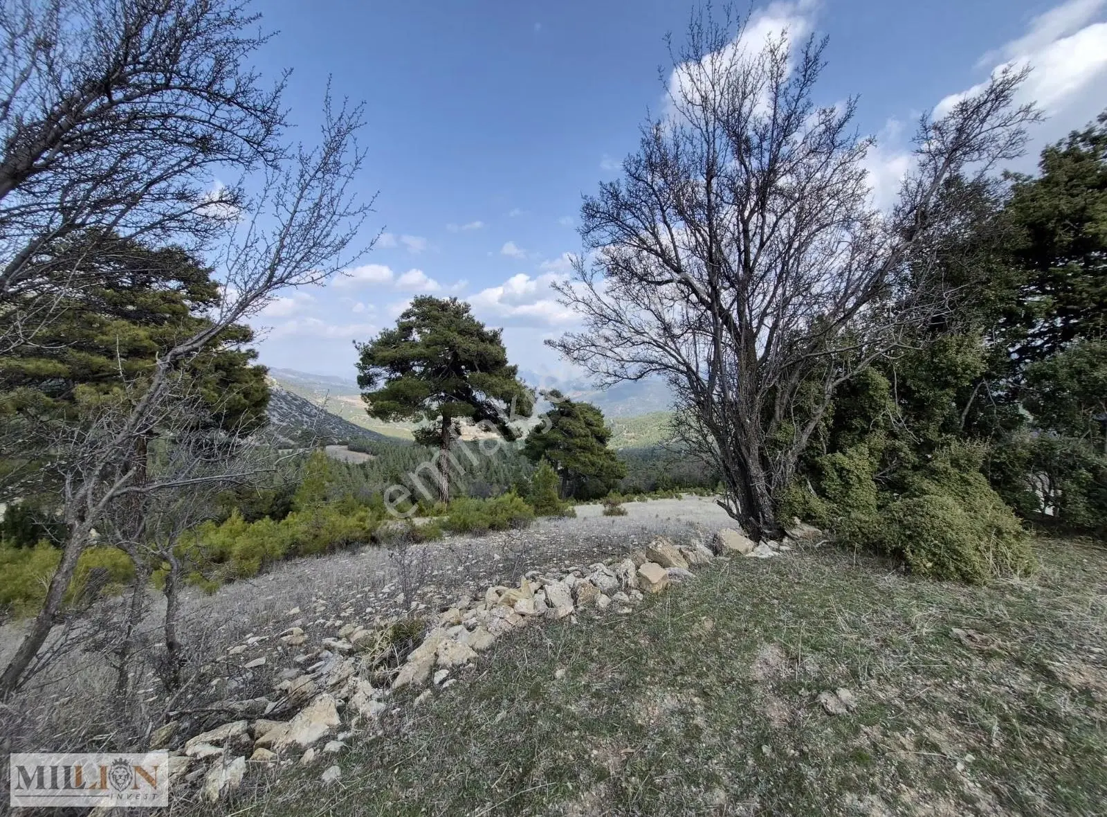 Korkuteli Güzle Köyü İçinde 3708 M2 Satılık Tarla - Görsel 3