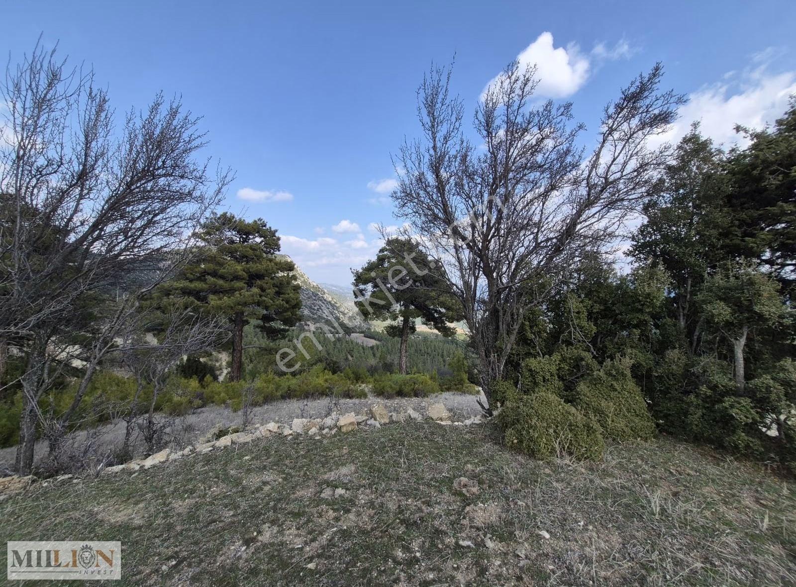 Korkuteli Güzle Köyü İçinde 3708 M2 Satılık Tarla - Görsel 2
