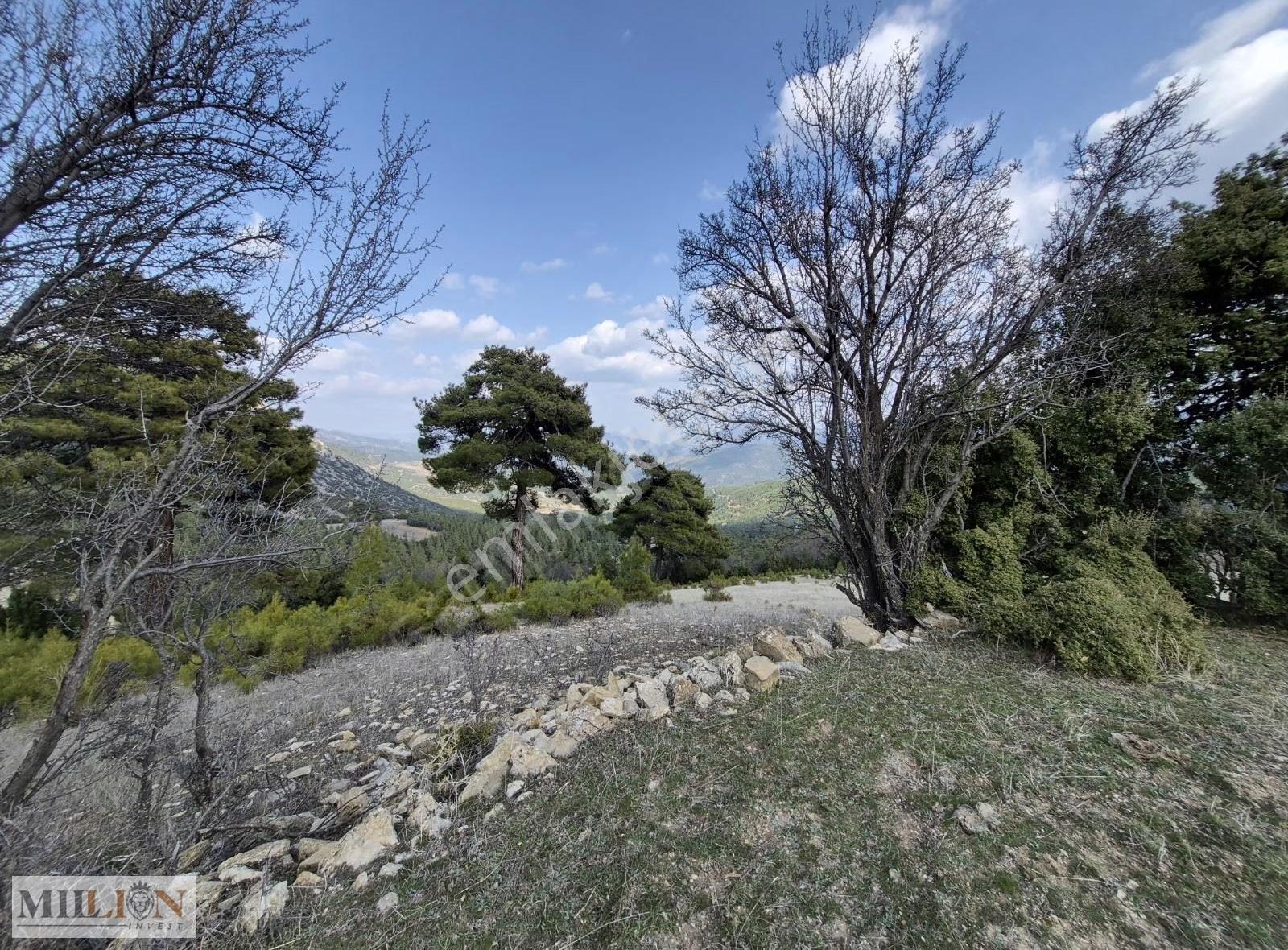 Korkuteli Güzle Köyü İçinde 3708 M2 Satılık Tarla - Görsel 5
