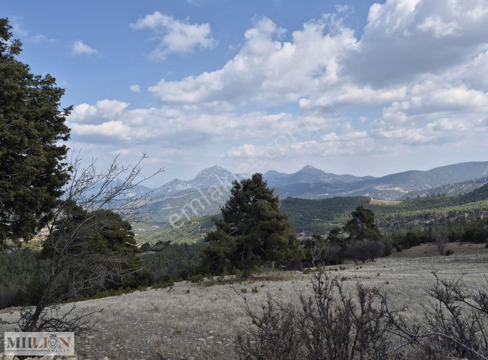 Korkuteli Güzle Köyü İçinde 3708 M2 Satılık Tarla - Görsel 10