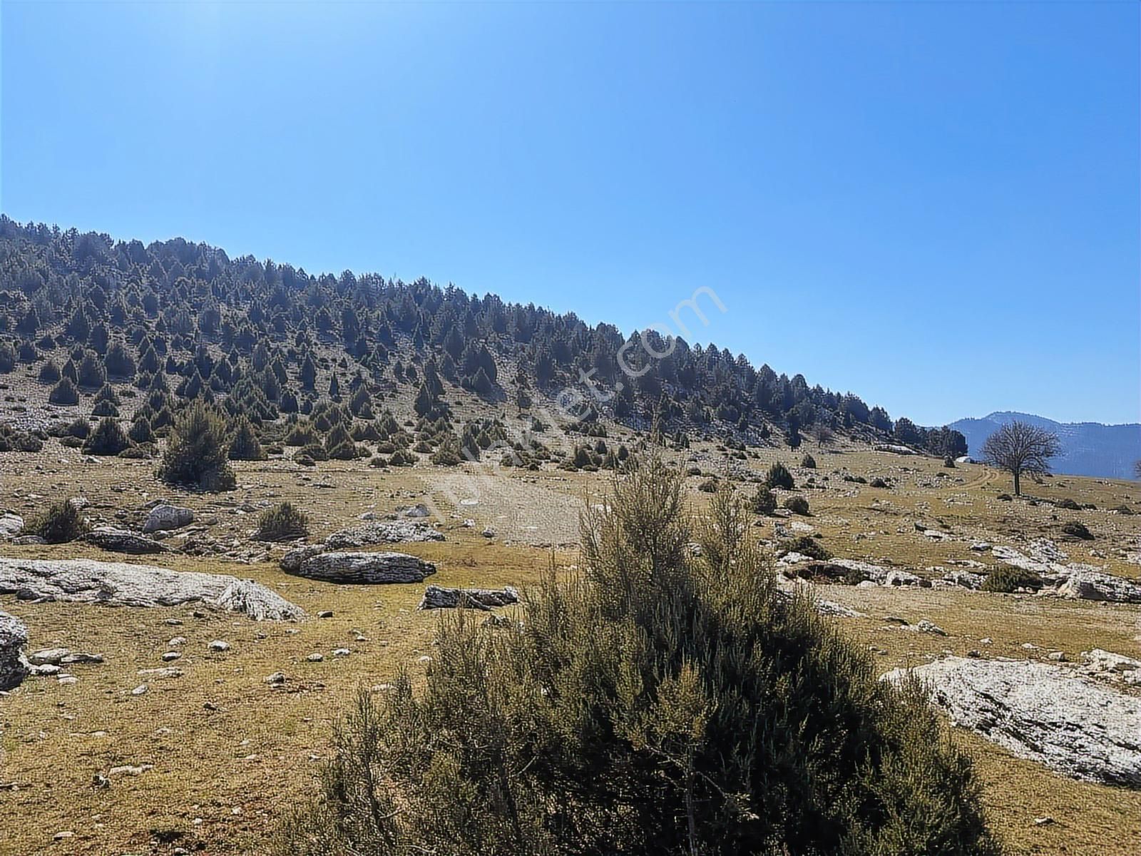 New Form'dan Toroslar Değirmendere'de 8827 M2 Satılık Tarla - Görsel 3