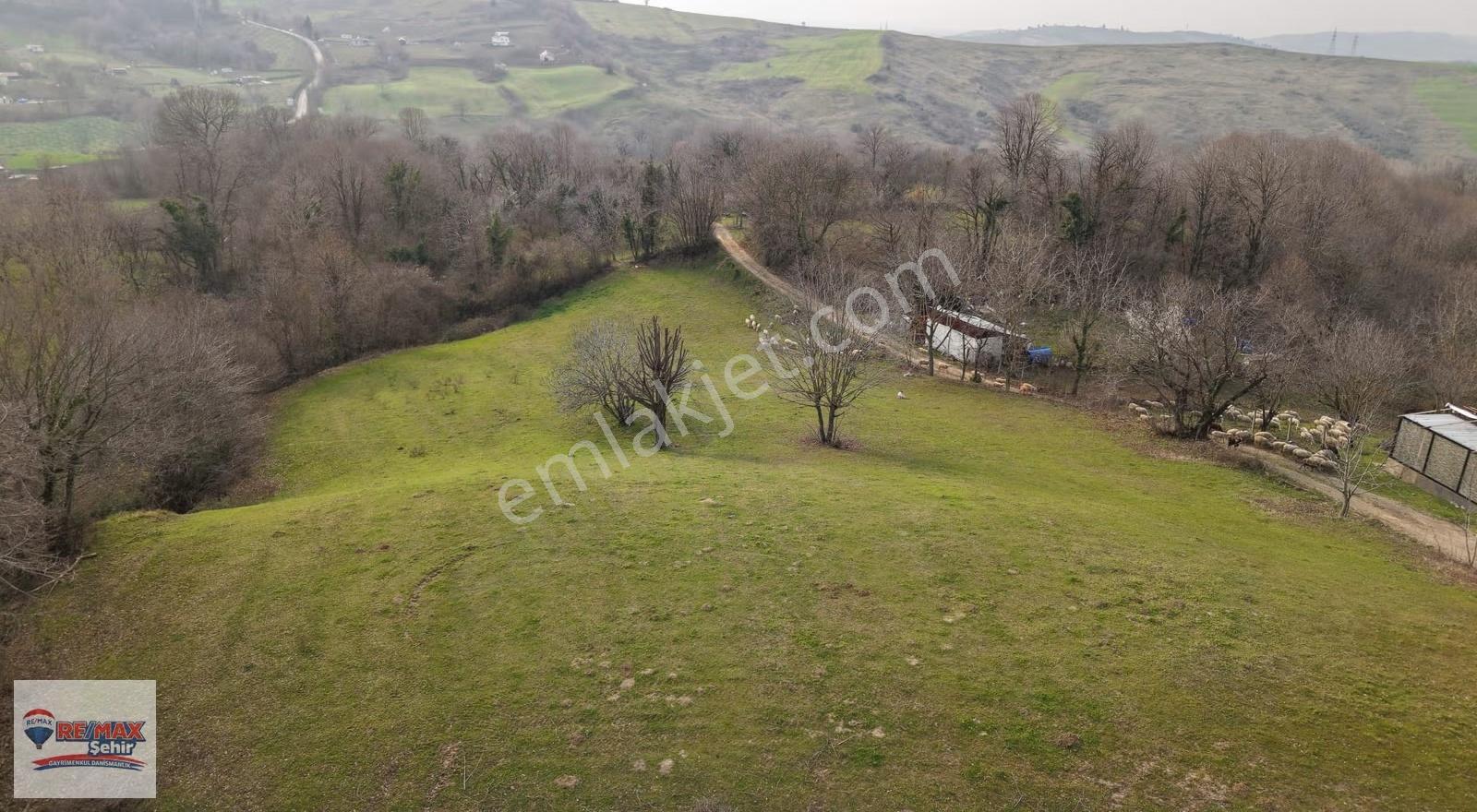Yalova Çiftlikköy İlyasköy İmara Yakın Yola Cephe Satılık Tarla - Görsel 3
