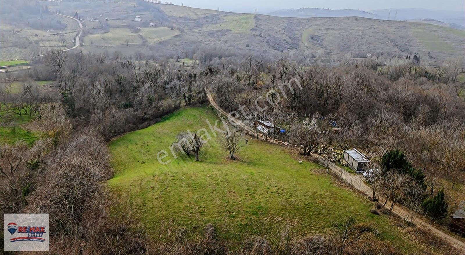 Yalova Çiftlikköy İlyasköy İmara Yakın Yola Cephe Satılık Tarla - Görsel 4