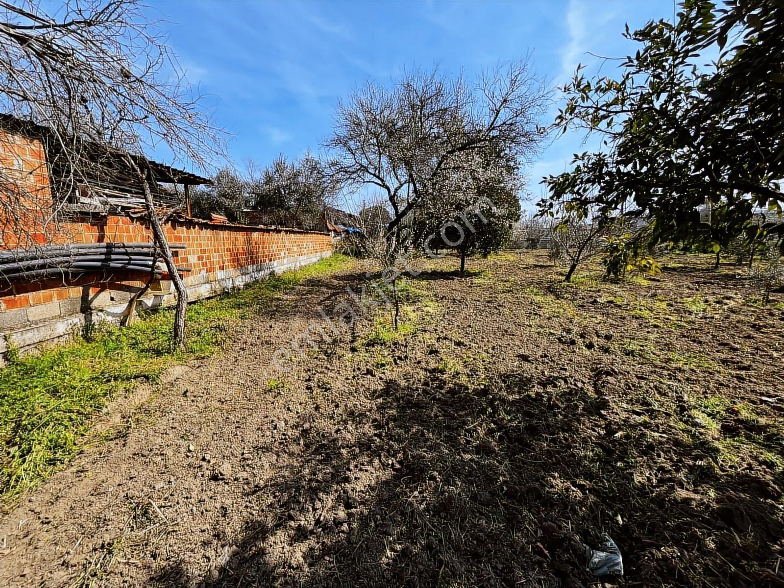 Aydın Efeler Umurlu Mah. 1290 M² Tek Tapu İmar İçinde Arsa - Görsel 27