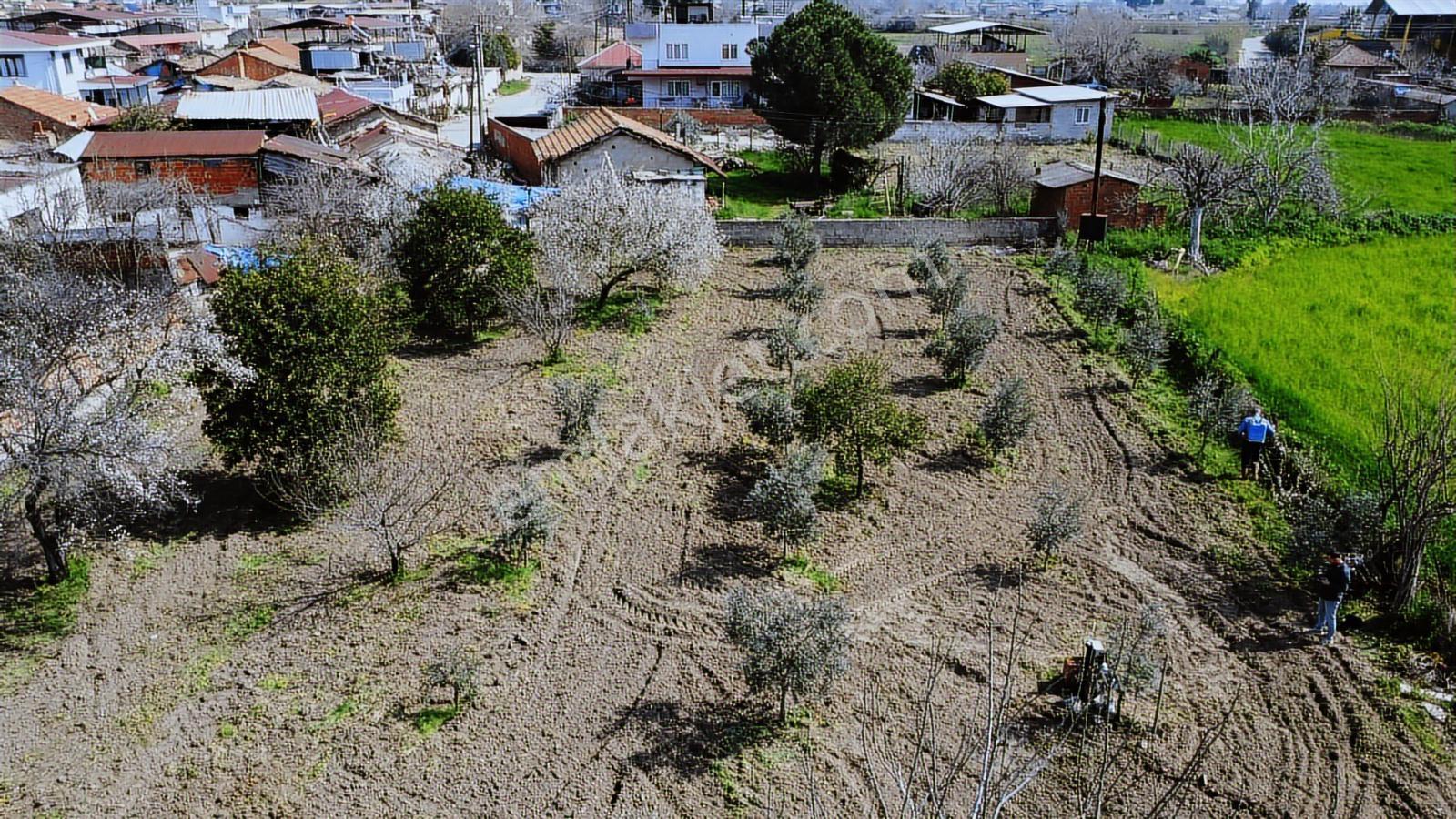 Aydın Efeler Umurlu Mah. 1290 M² Tek Tapu İmar İçinde Arsa - Görsel 17