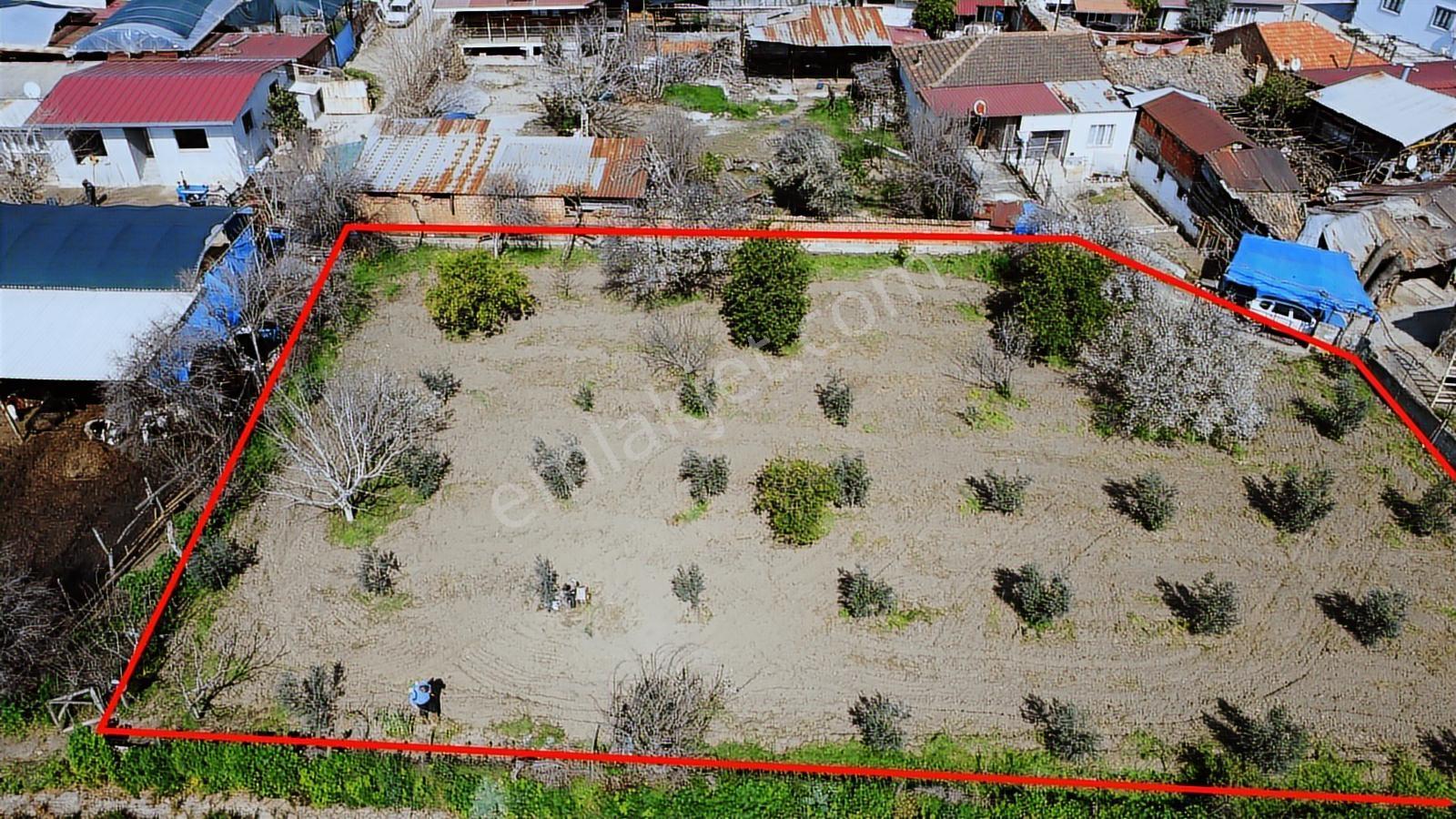 Aydın Efeler Umurlu Mah. 1290 M² Tek Tapu İmar İçinde Arsa