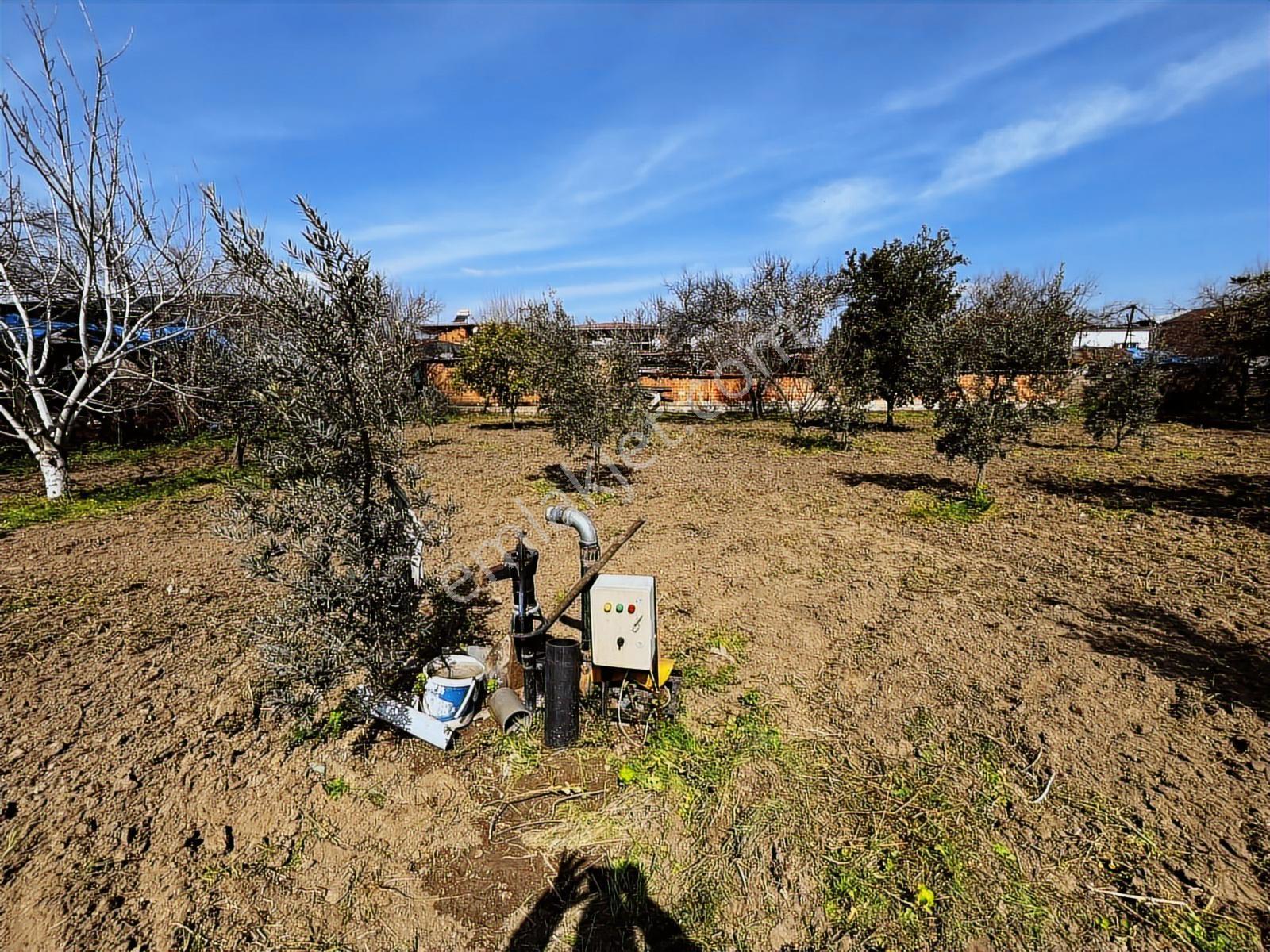 Aydın Efeler Umurlu Mah. 1290 M² Tek Tapu İmar İçinde Arsa - Görsel 10