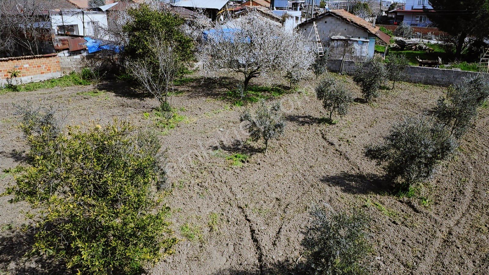 Aydın Efeler Umurlu Mah. 1290 M² Tek Tapu İmar İçinde Arsa - Görsel 23