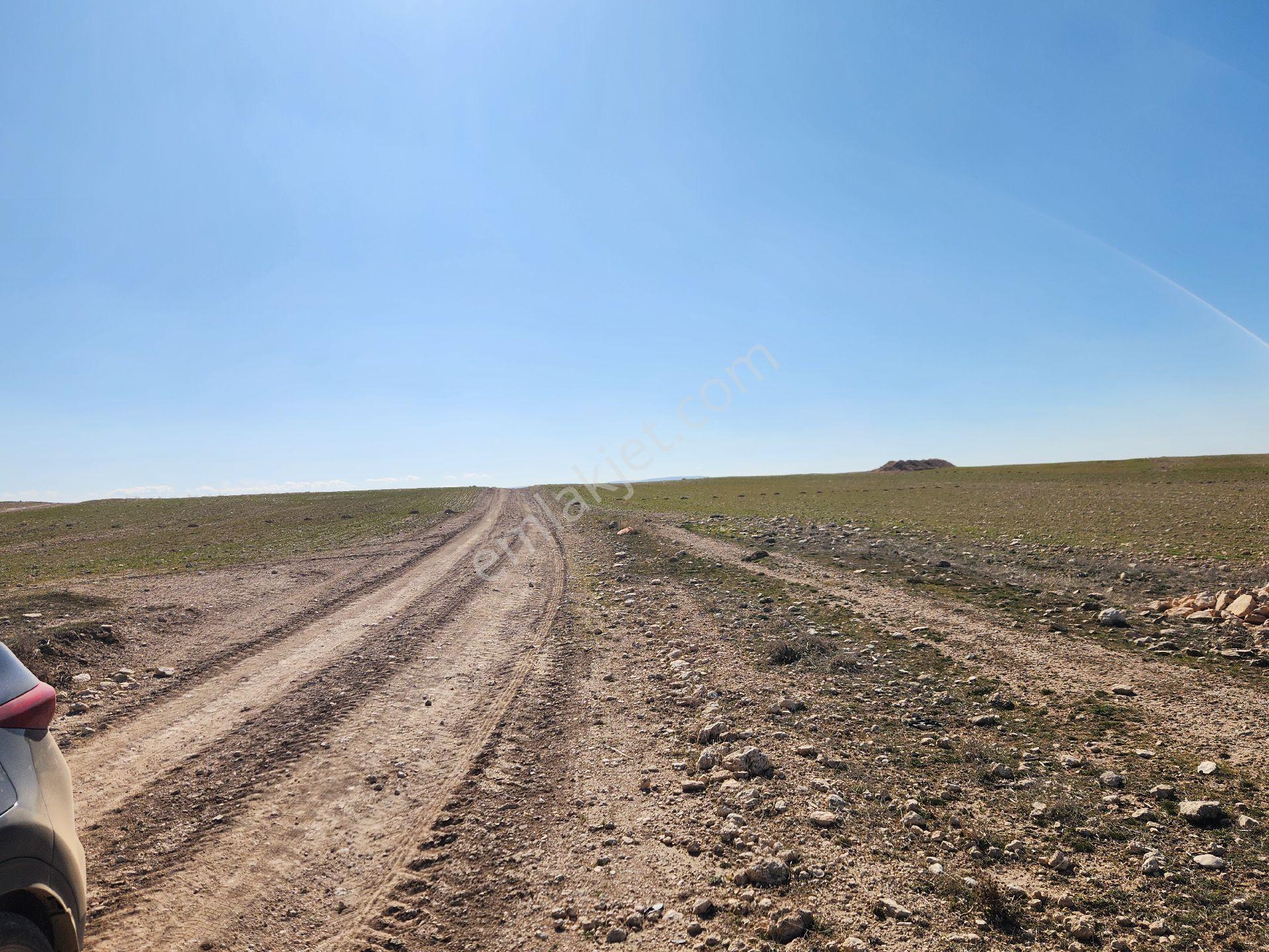 Konya Kadınhanı Başkuyu/fatih Mah. 3268 M2 Yola Cephe Tarla - Görsel 11
