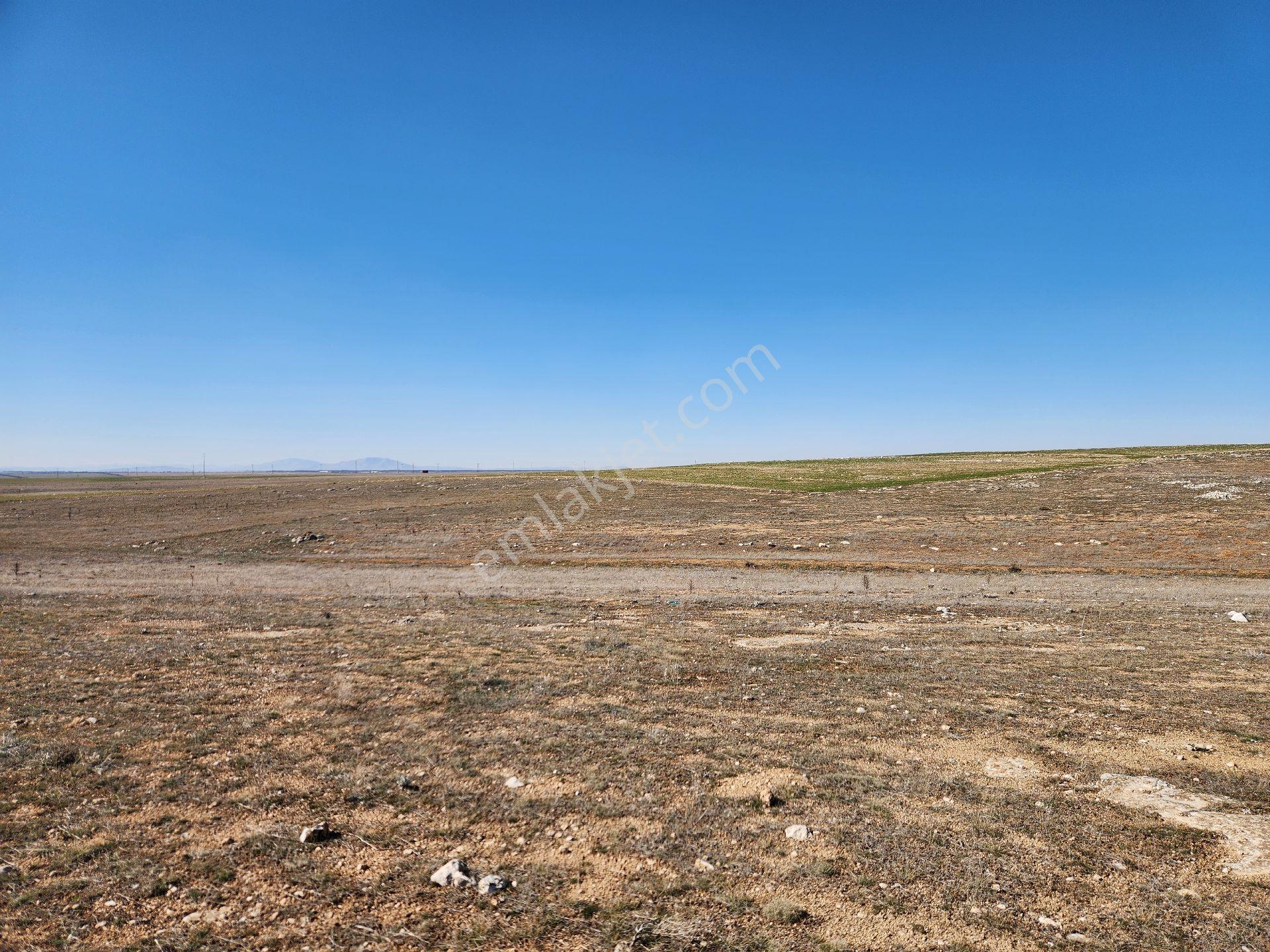 Konya Kadınhanı Başkuyu/fatih Mah. 3268 M2 Yola Cephe Tarla - Görsel 18