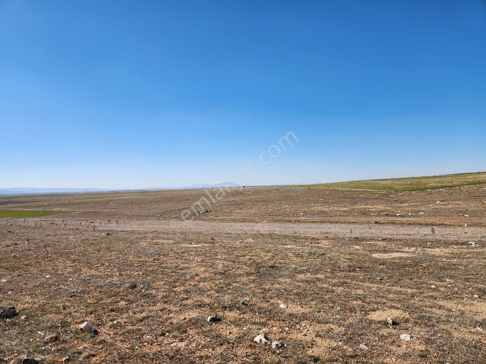 Konya Kadınhanı Başkuyu/fatih Mah. 3268 M2 Yola Cephe Tarla - Görsel 25