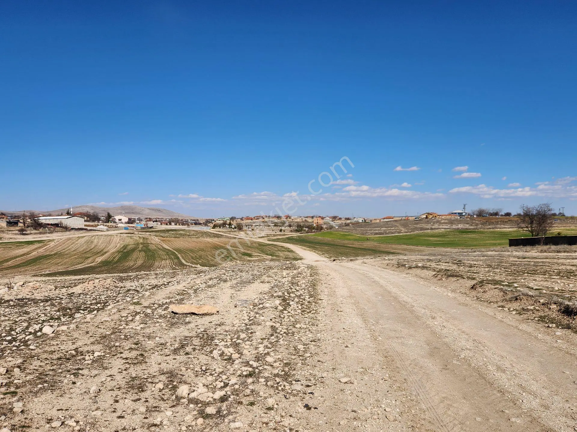Konya Kadınhanı Başkuyu/fatih Mah. 3268 M2 Yola Cephe Tarla - Görsel 2