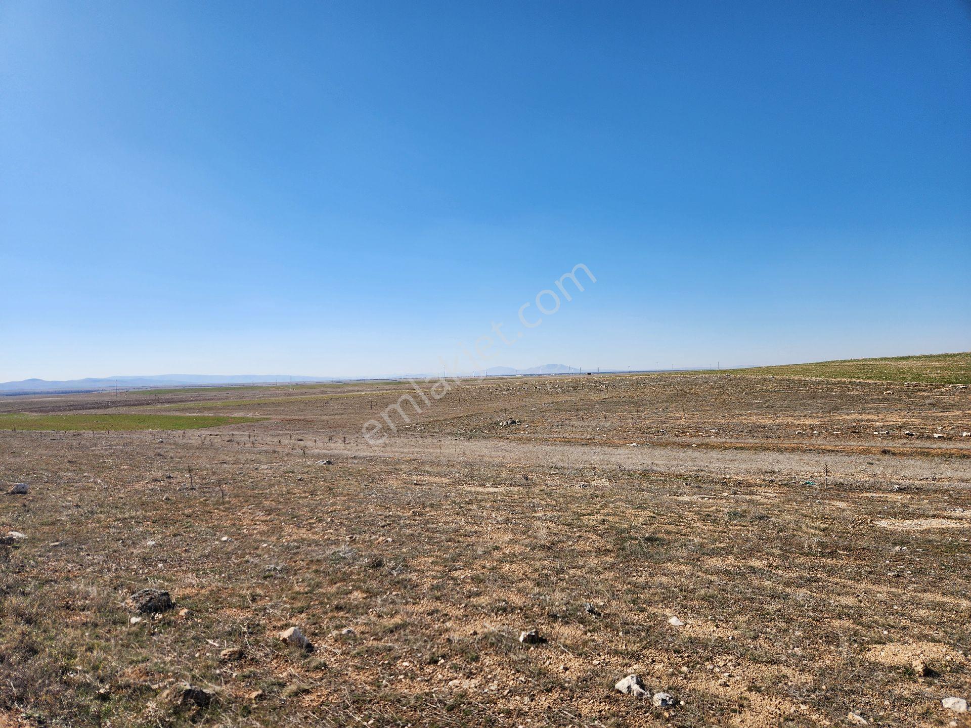 Konya Kadınhanı Başkuyu/fatih Mah. 3268 M2 Yola Cephe Tarla - Görsel 9