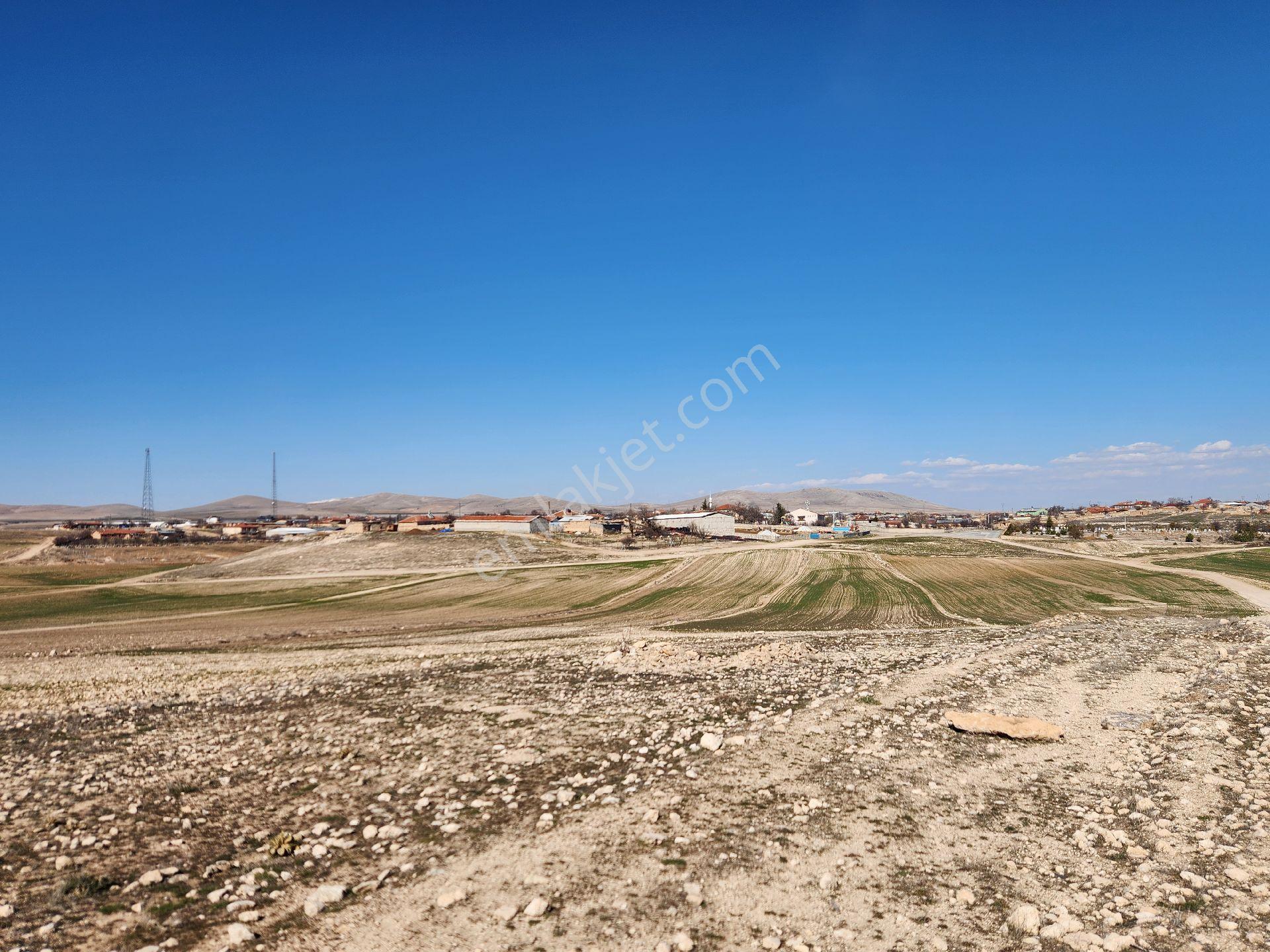 Konya Kadınhanı Başkuyu/fatih Mah. 3268 M2 Yola Cephe Tarla - Görsel 19