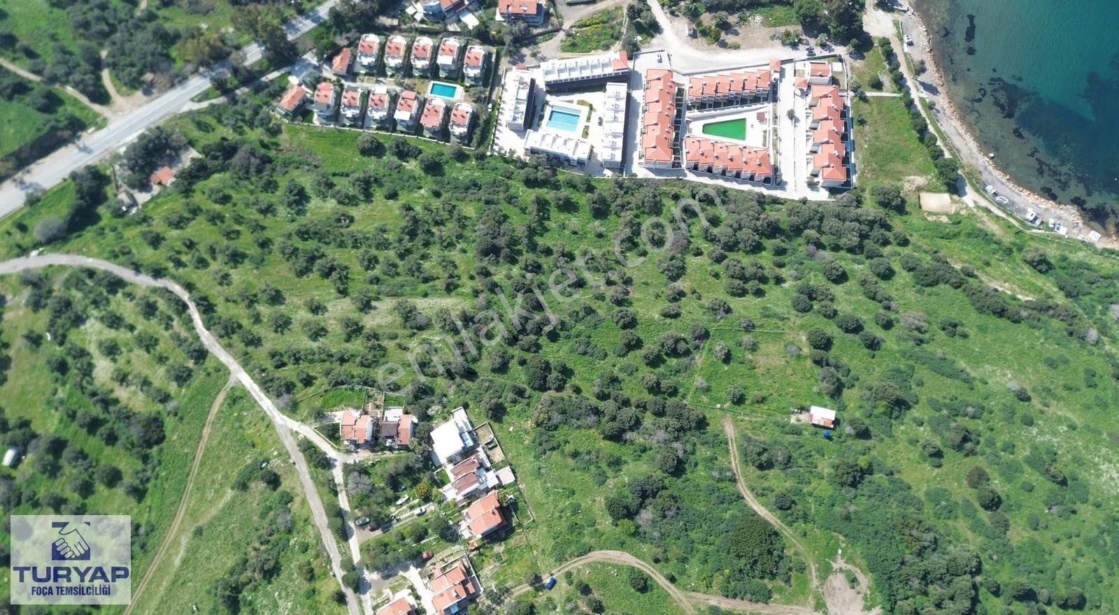 Turyap Foça'dan Şahin Tepesinde Satılık Arsa