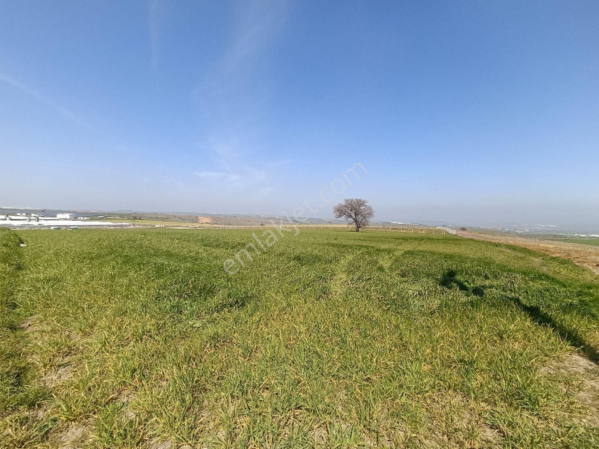 Bursa Karacabey Tophisar Mah. 12.950 M2 Satılık Tarla Yatırımlık - Görsel 11