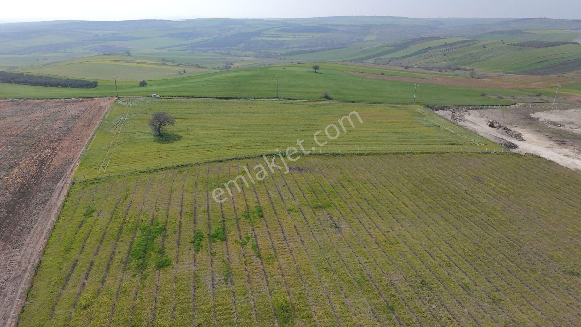 Bursa Karacabey Tophisar Mah. 12.950 M2 Satılık Tarla Yatırımlık - Görsel 15