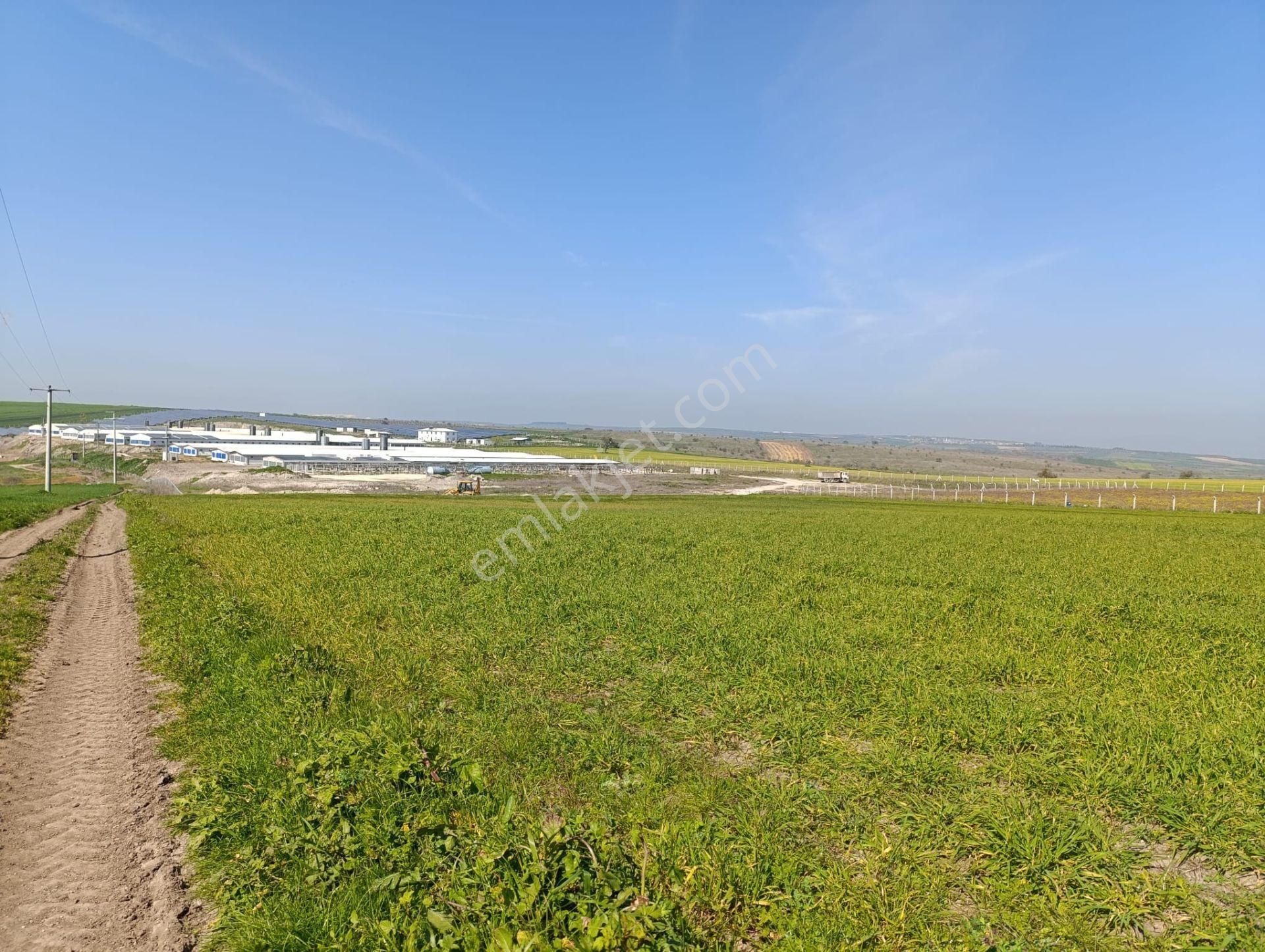 Bursa Karacabey Tophisar Mah. 12.950 M2 Satılık Tarla Yatırımlık - Görsel 9