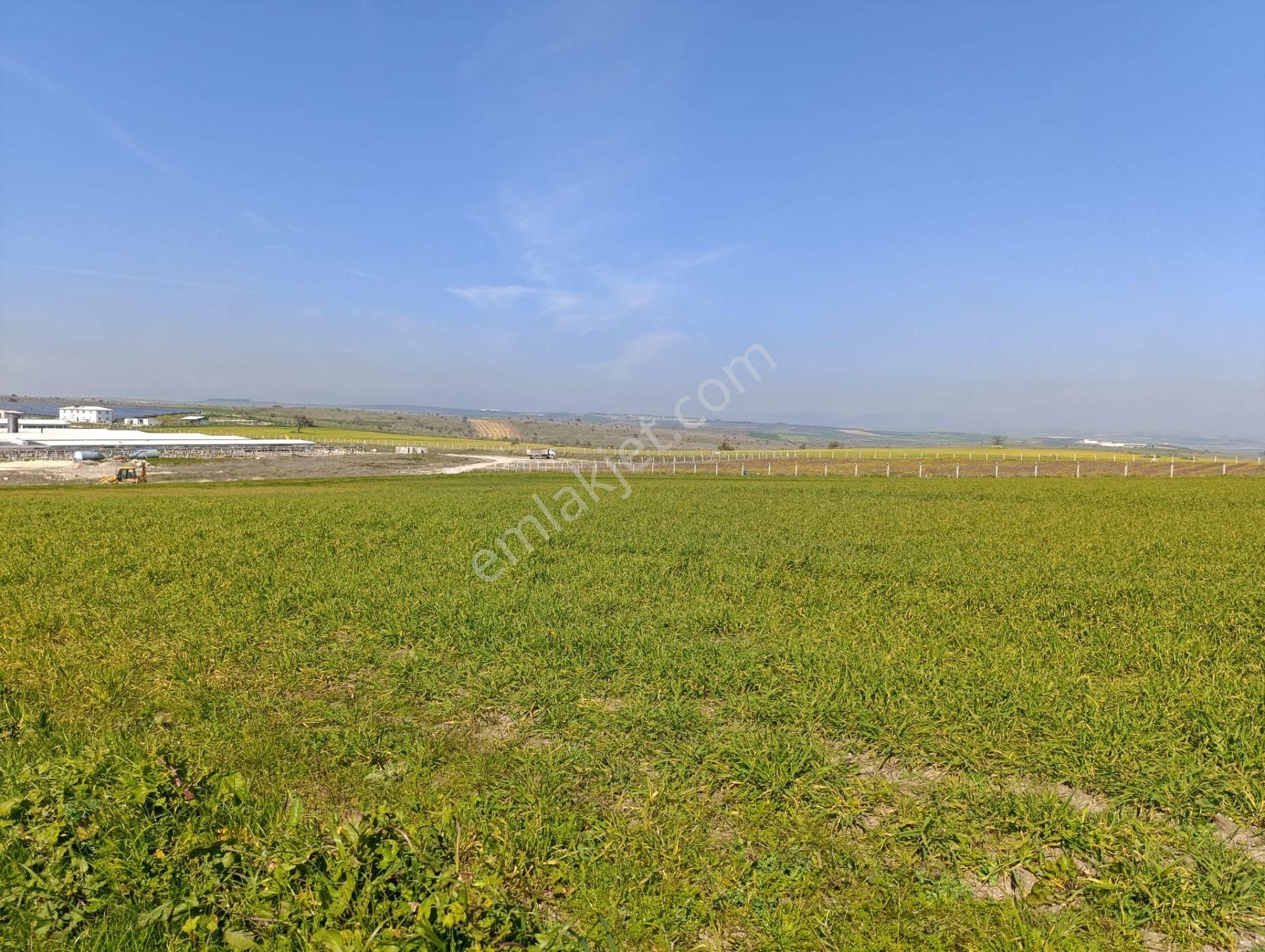 Bursa Karacabey Tophisar Mah. 12.950 M2 Satılık Tarla Yatırımlık - Görsel 3