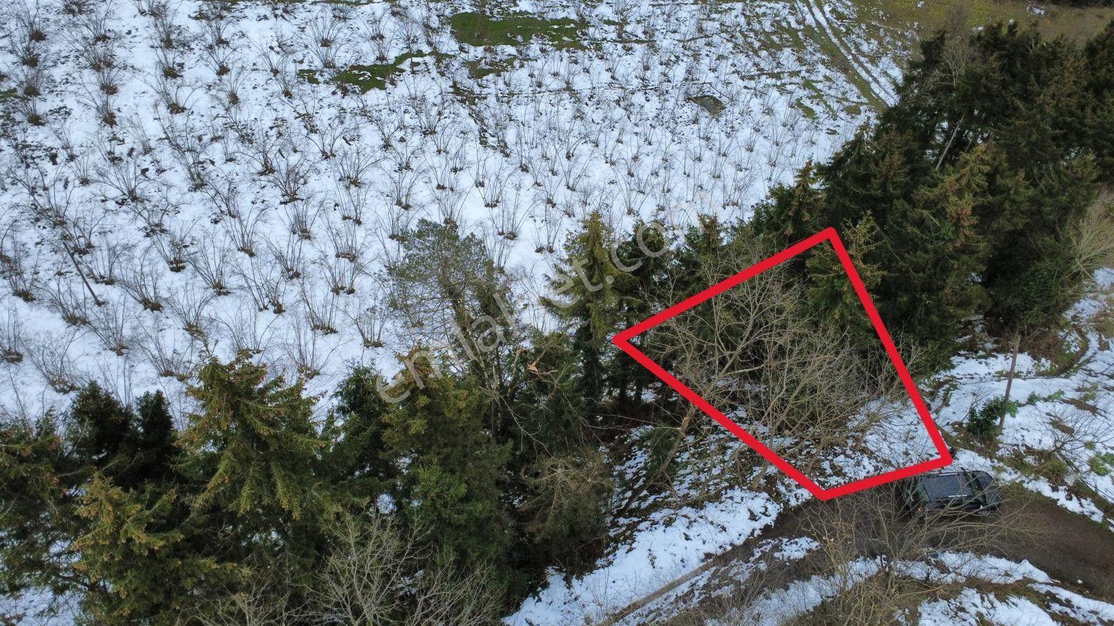 Trabzon Maçka Esiroğlunda Satılık Arazi - Görsel 10