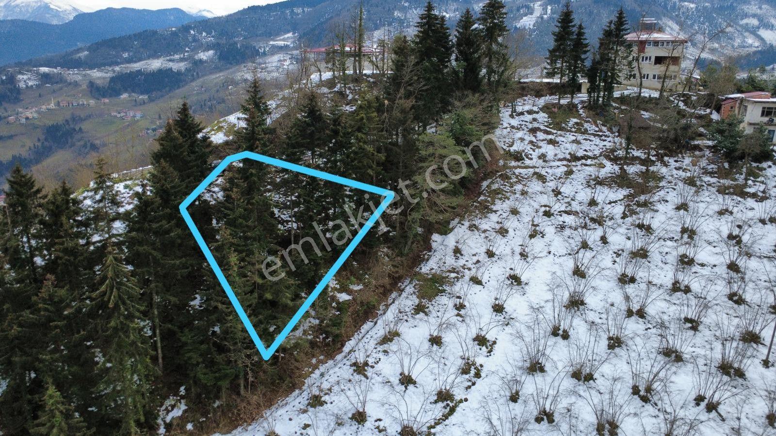 Trabzon Maçka Esiroğlunda Satılık Arazi - Görsel 4